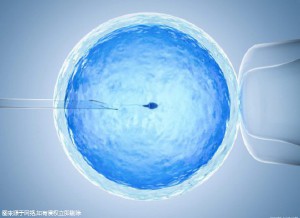 代生选性别包男孩